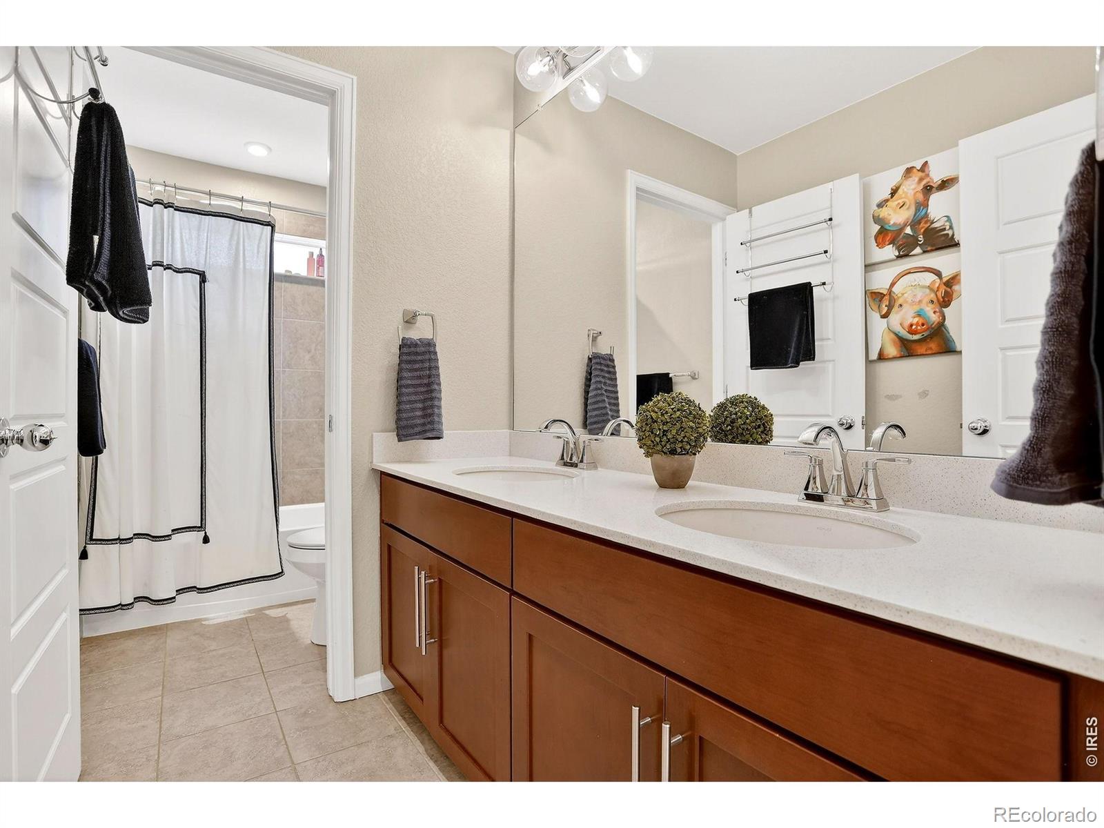 MLS Image #26 for 491  silver crown court,erie, Colorado