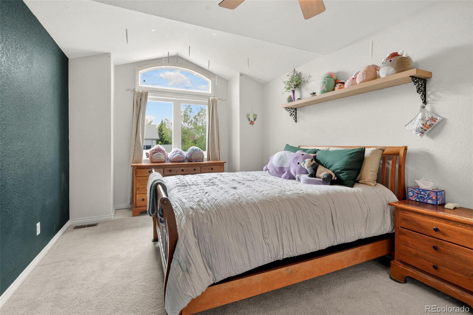 MLS Image #29 for 11405 w coal mine drive,littleton, Colorado