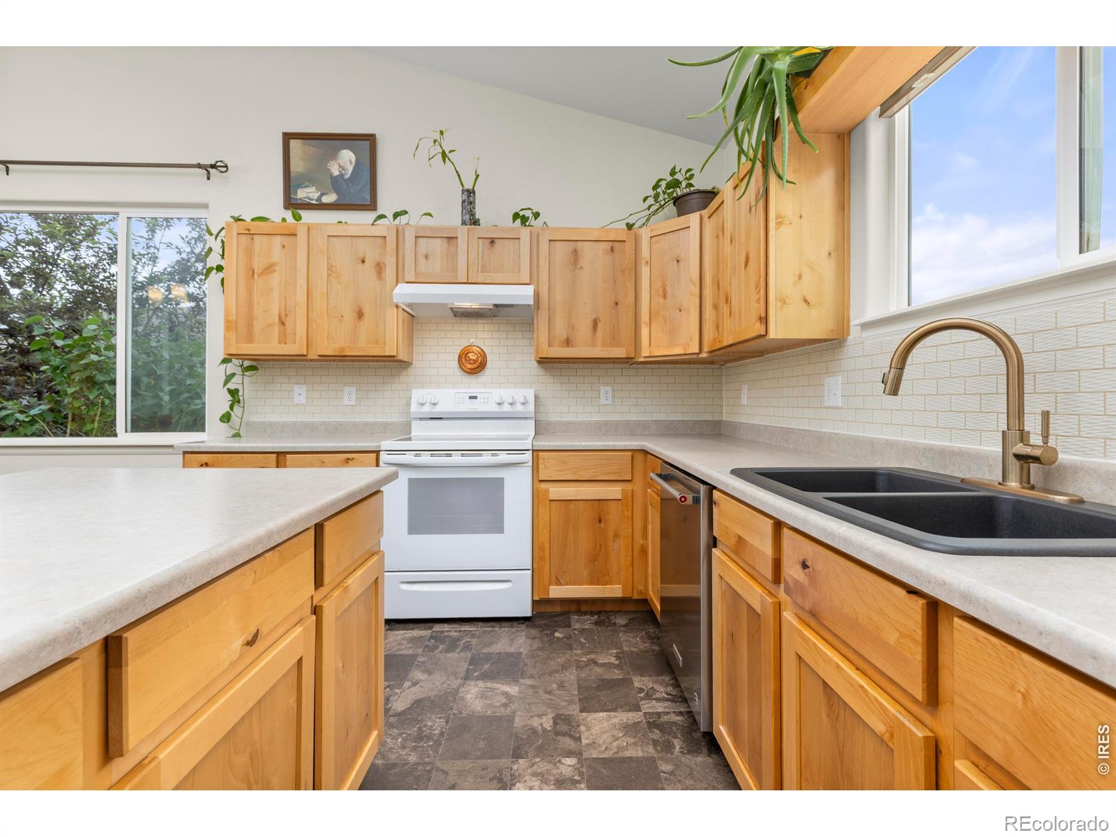 MLS Image #10 for 1549  water vista lane,severance, Colorado