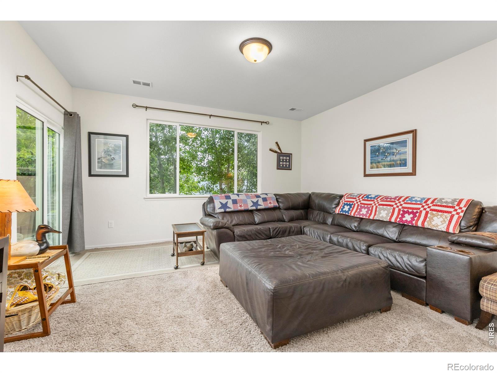 MLS Image #12 for 1549  water vista lane,severance, Colorado