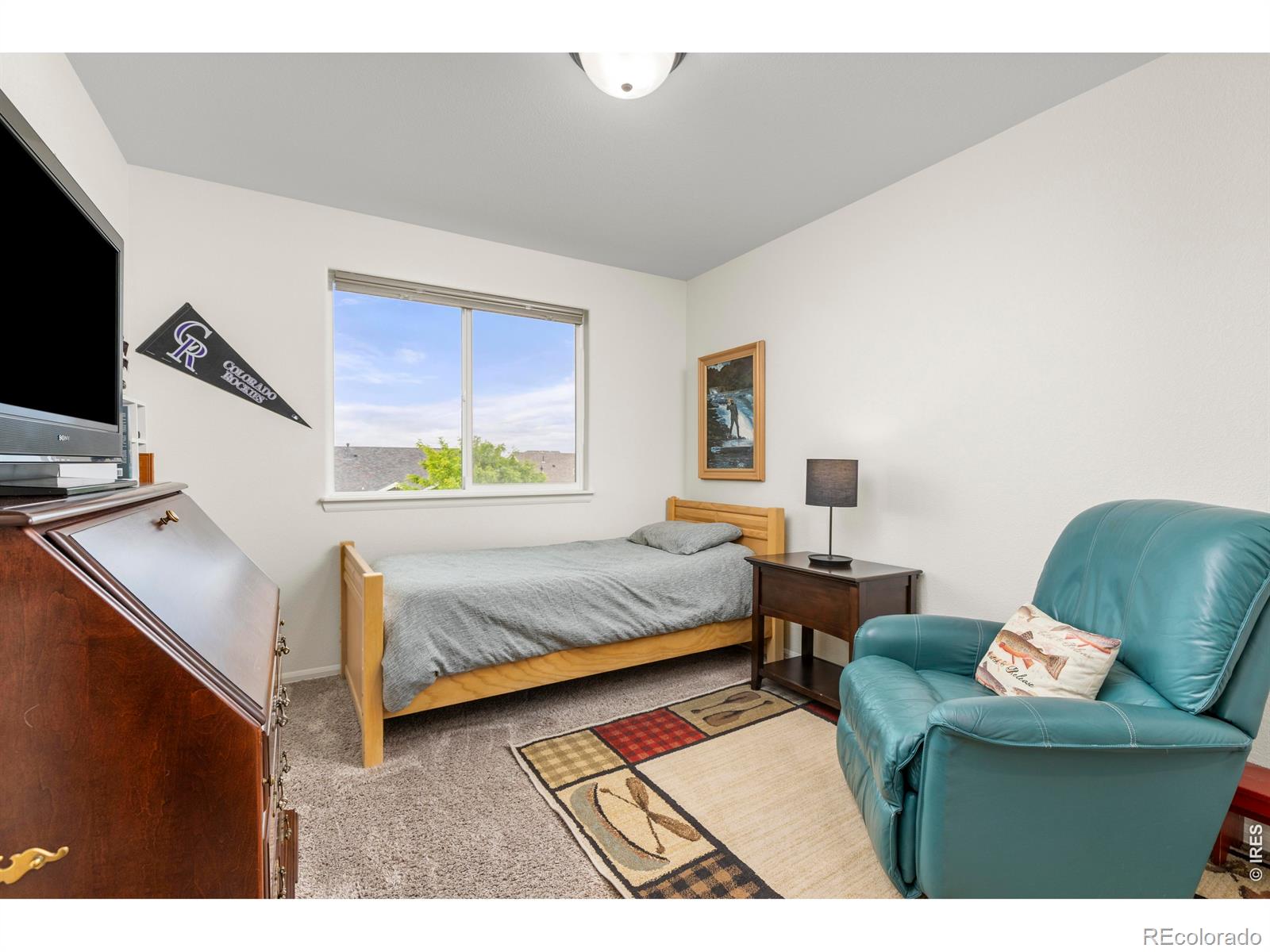 MLS Image #19 for 1549  water vista lane,severance, Colorado