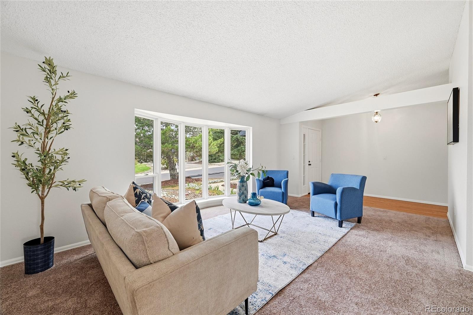 MLS Image #4 for 2733  purgatory drive,colorado springs, Colorado