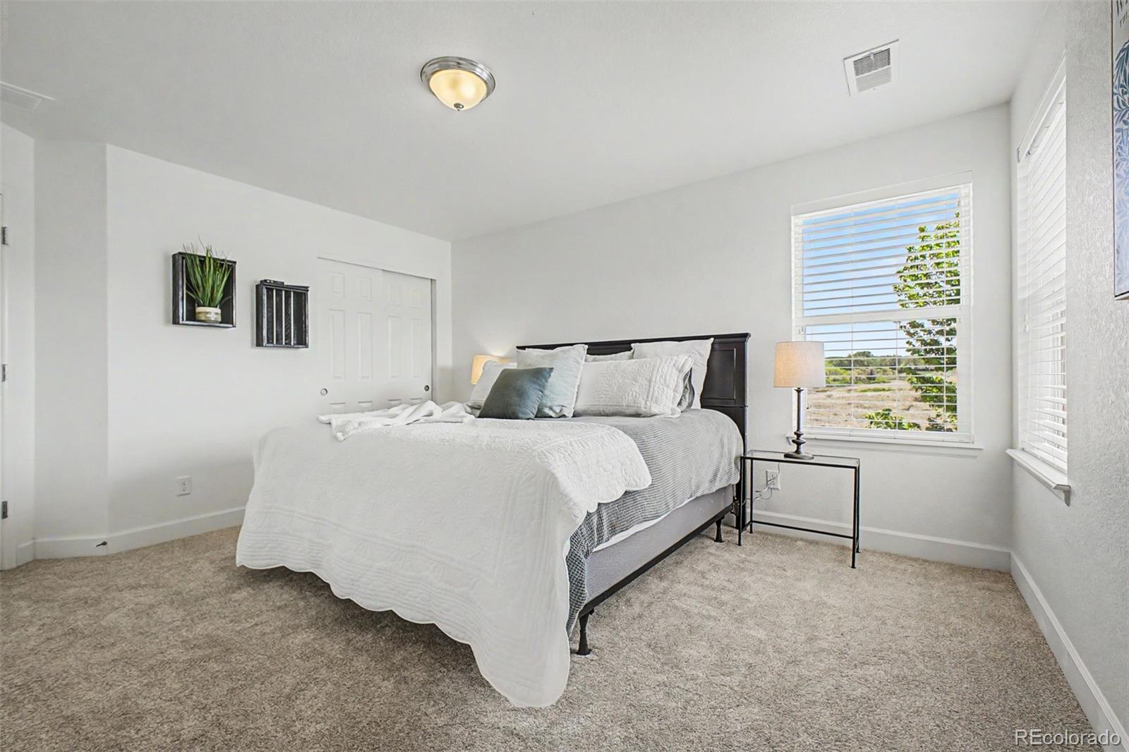 MLS Image #29 for 12268  eastern pine lane,parker, Colorado