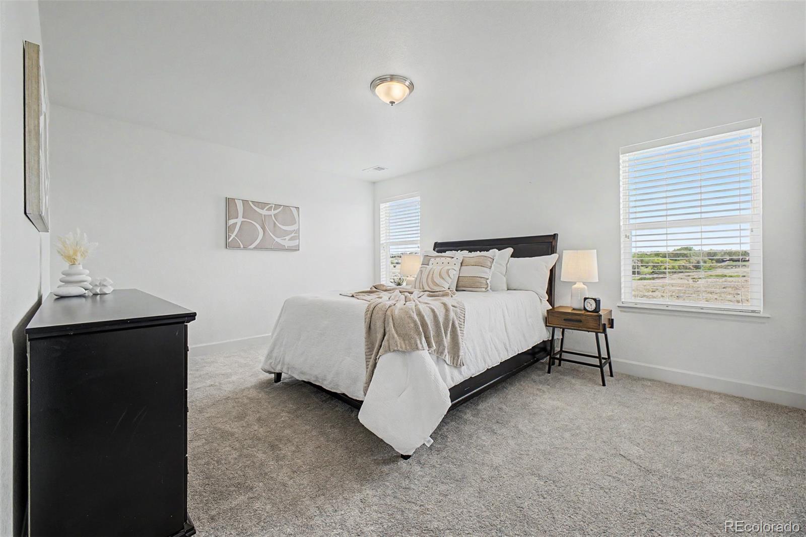 MLS Image #30 for 12268  eastern pine lane,parker, Colorado
