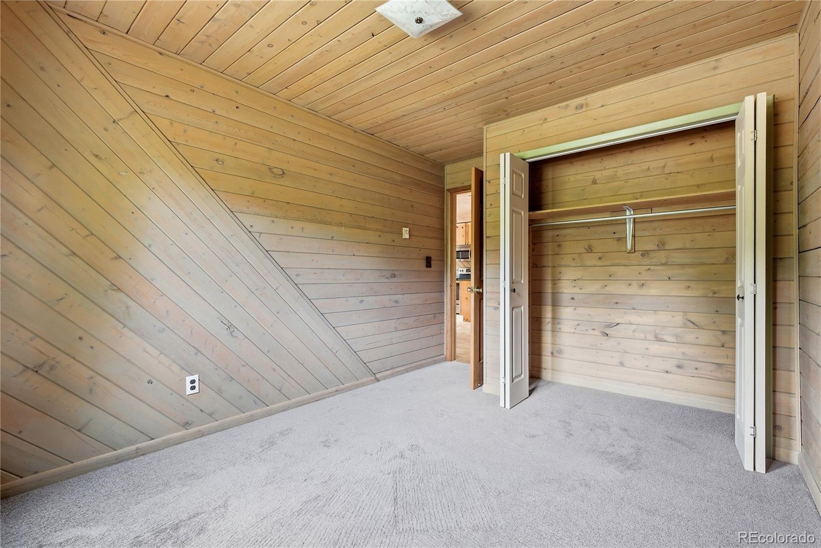 MLS Image #19 for 31050  manitoba drive,evergreen, Colorado