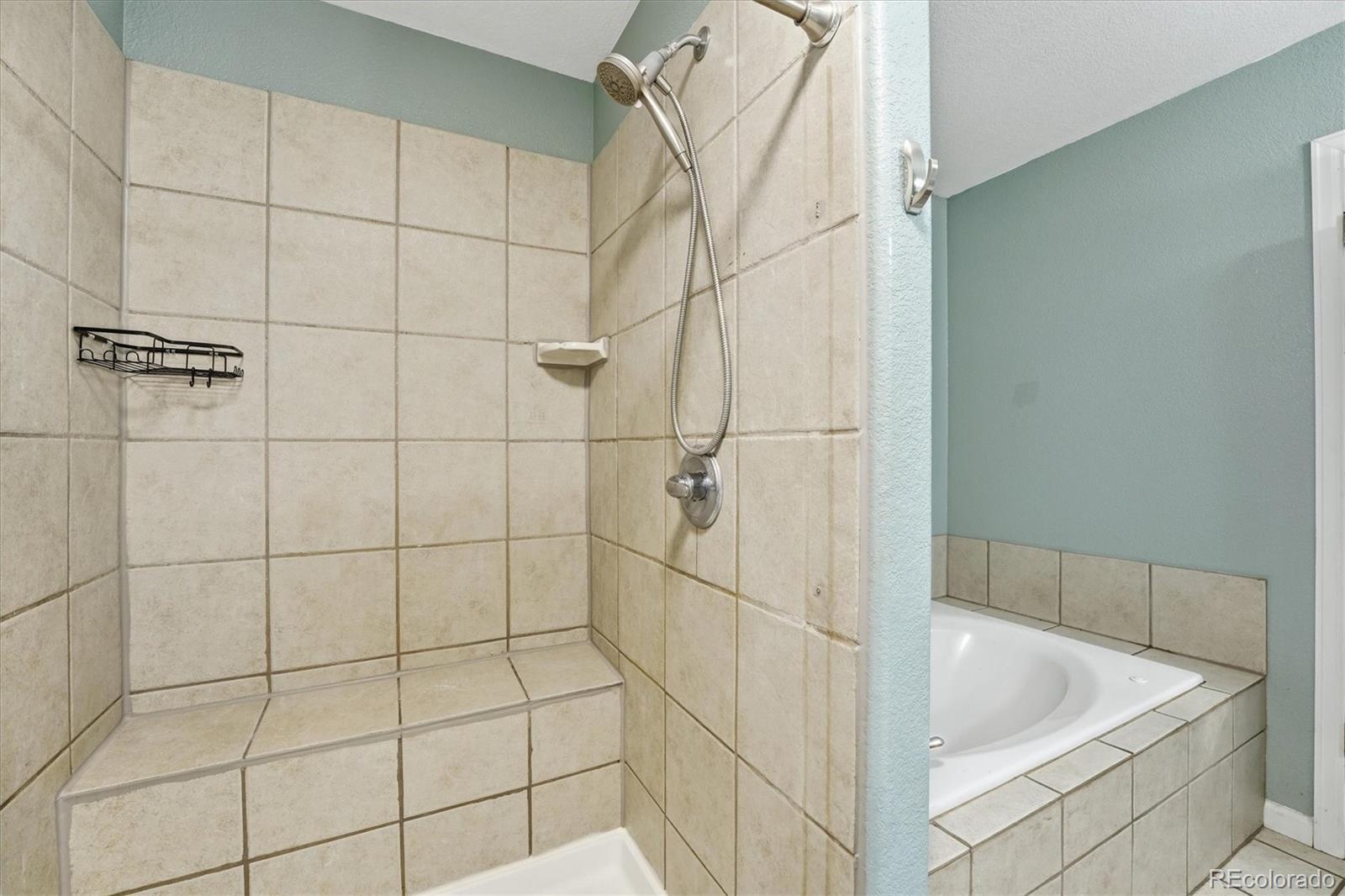 MLS Image #21 for 44023  pony express court,elizabeth, Colorado