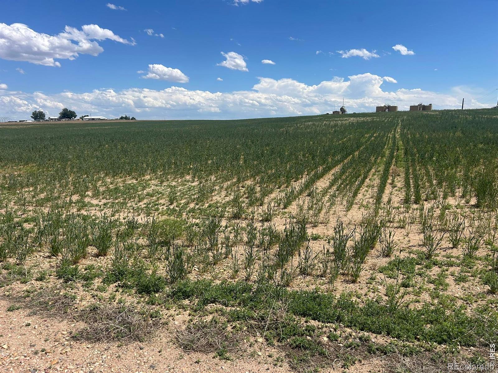 MLS Image #5 for 25061  county road 50 ,kersey, Colorado