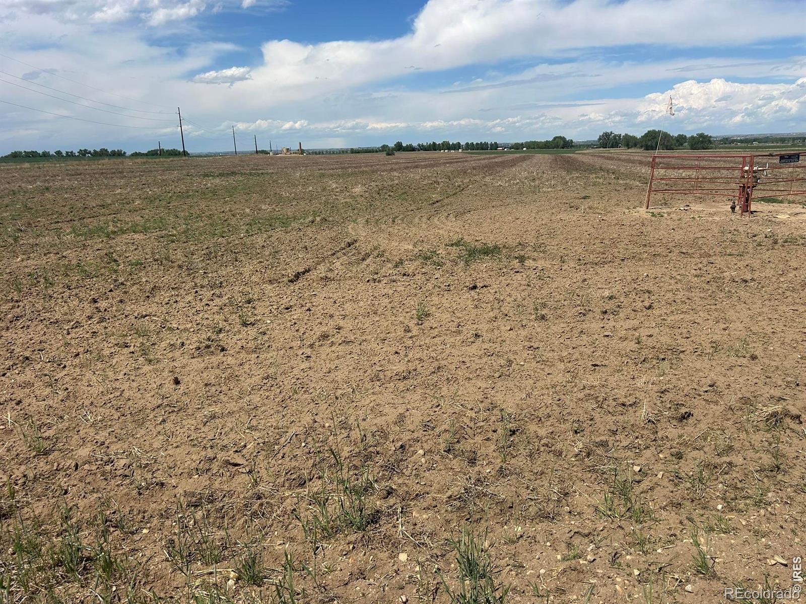 MLS Image #6 for 25061  county road 50 ,kersey, Colorado
