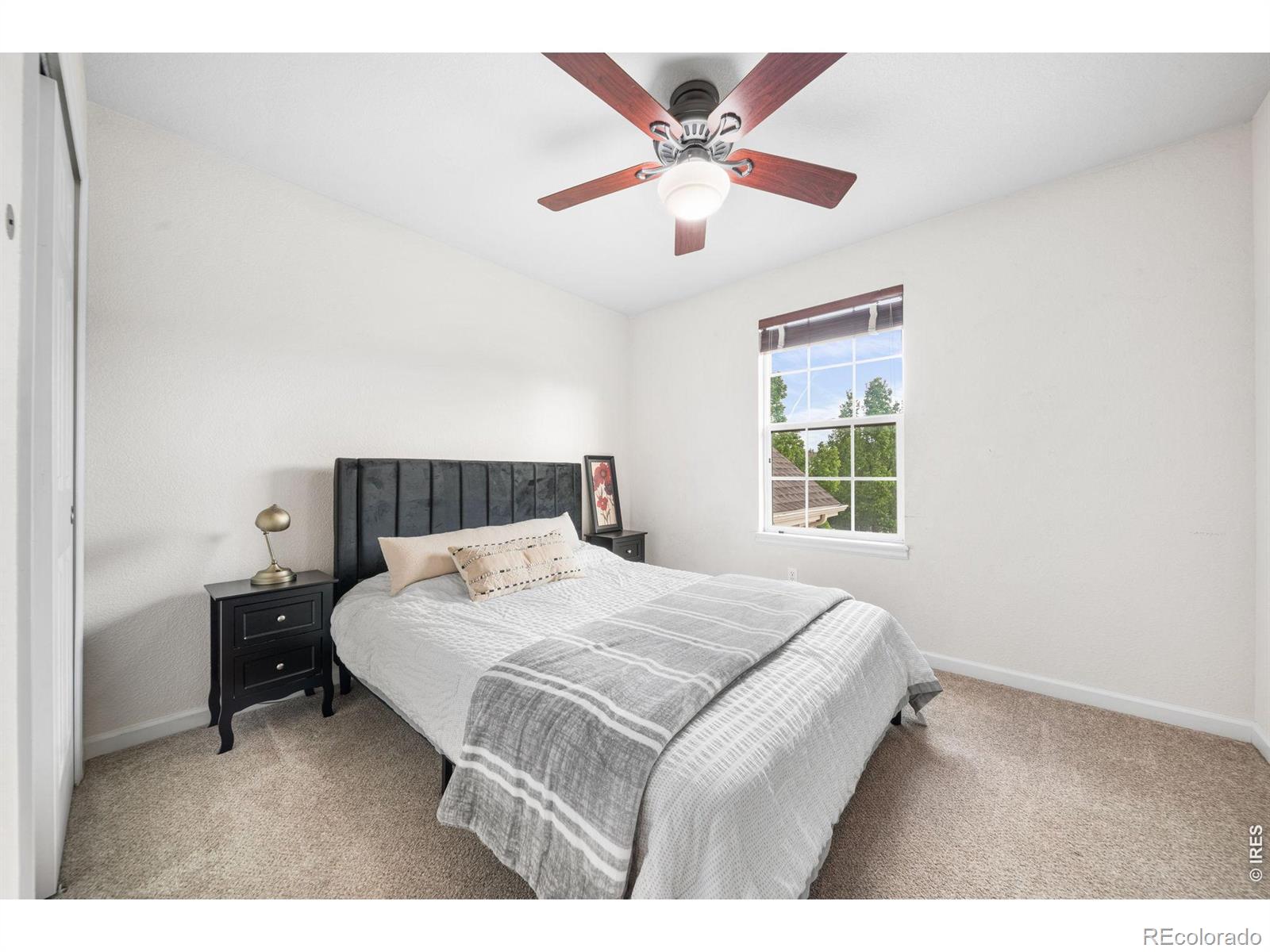 MLS Image #25 for 3832  observatory drive,fort collins, Colorado
