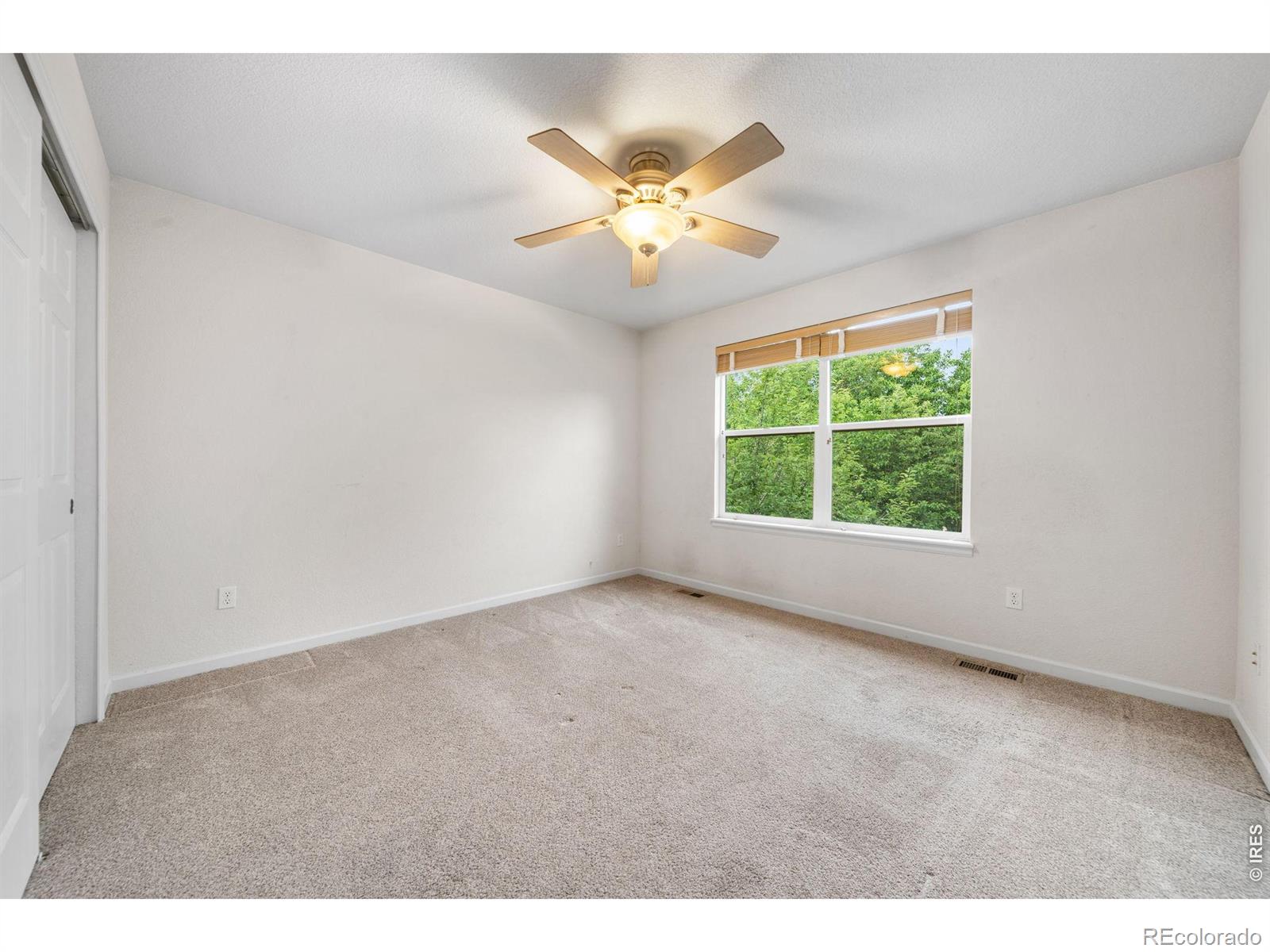 MLS Image #27 for 3832  observatory drive,fort collins, Colorado