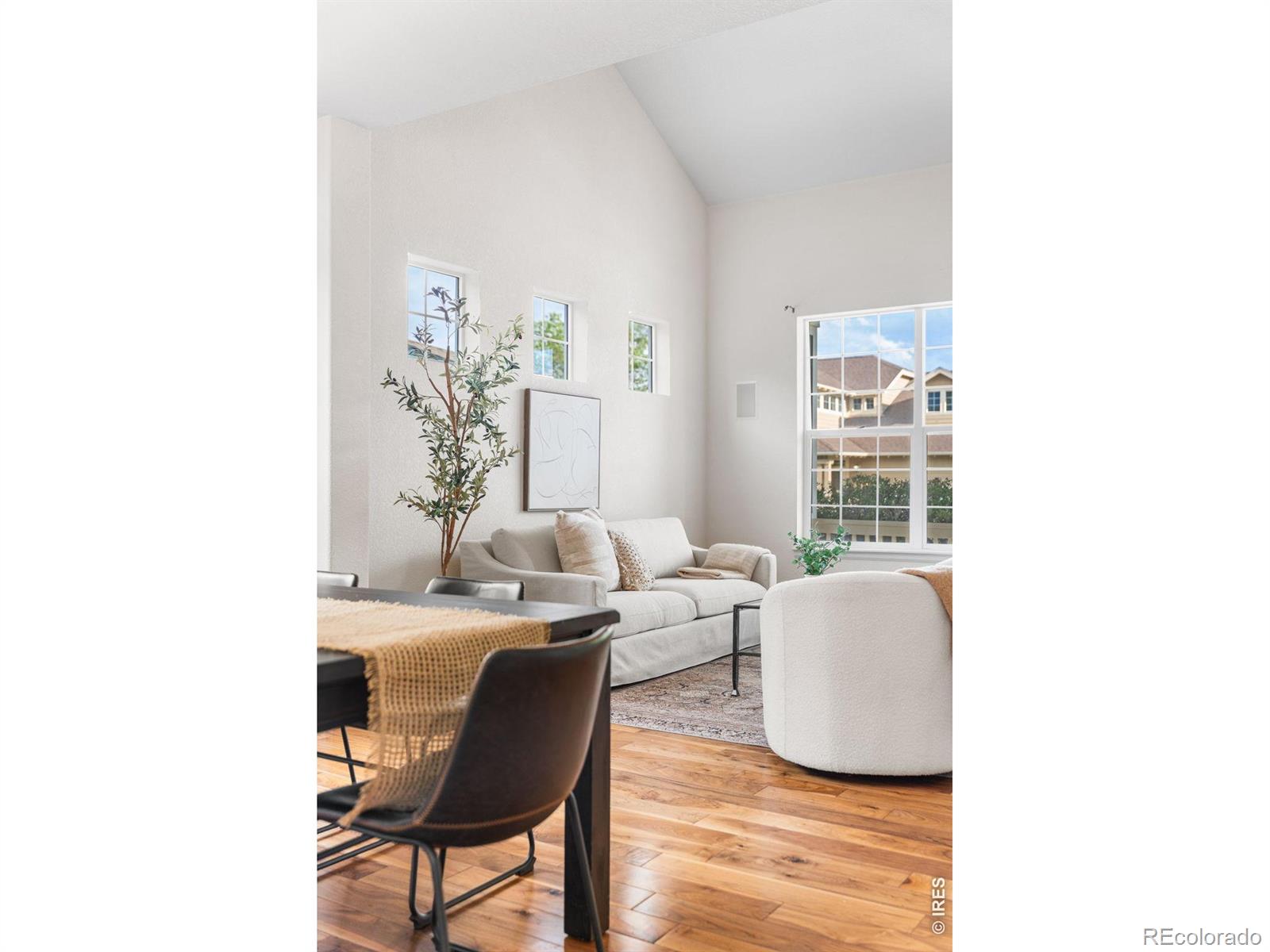 MLS Image #8 for 3832  observatory drive,fort collins, Colorado