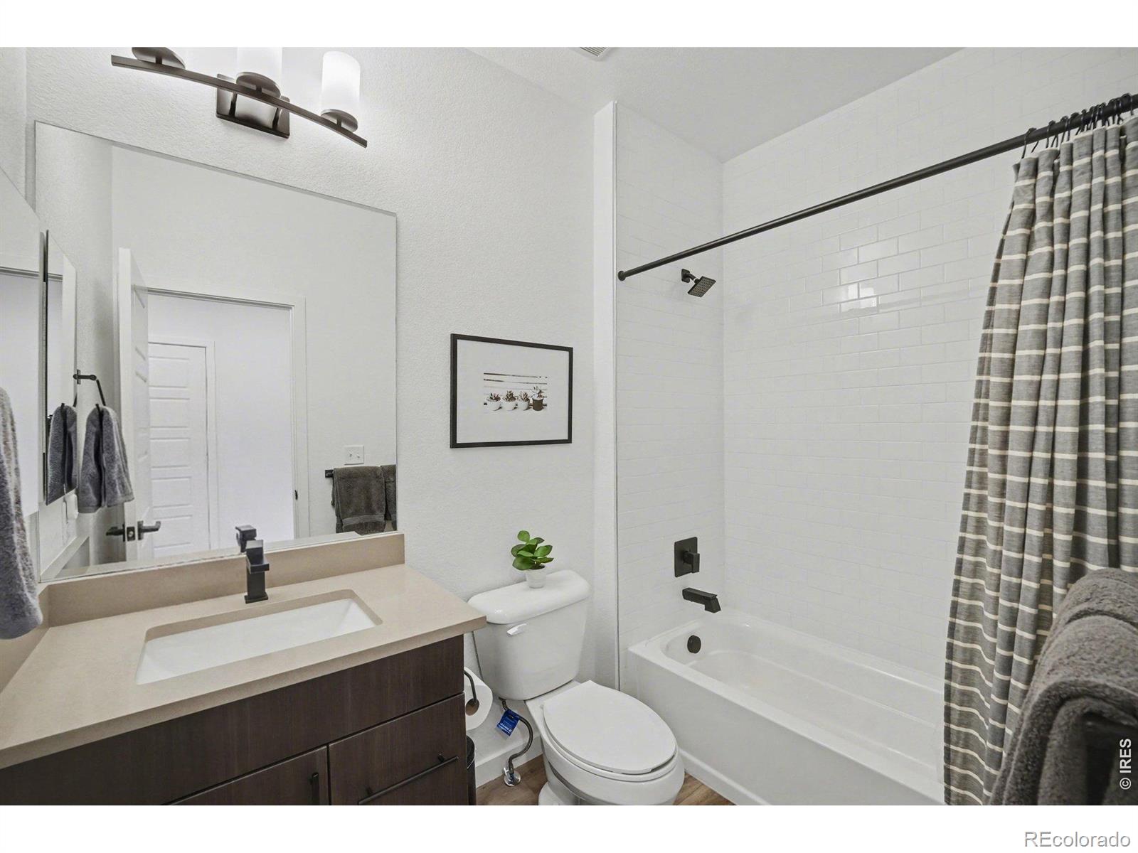 MLS Image #11 for 6393  moore court ,arvada, Colorado