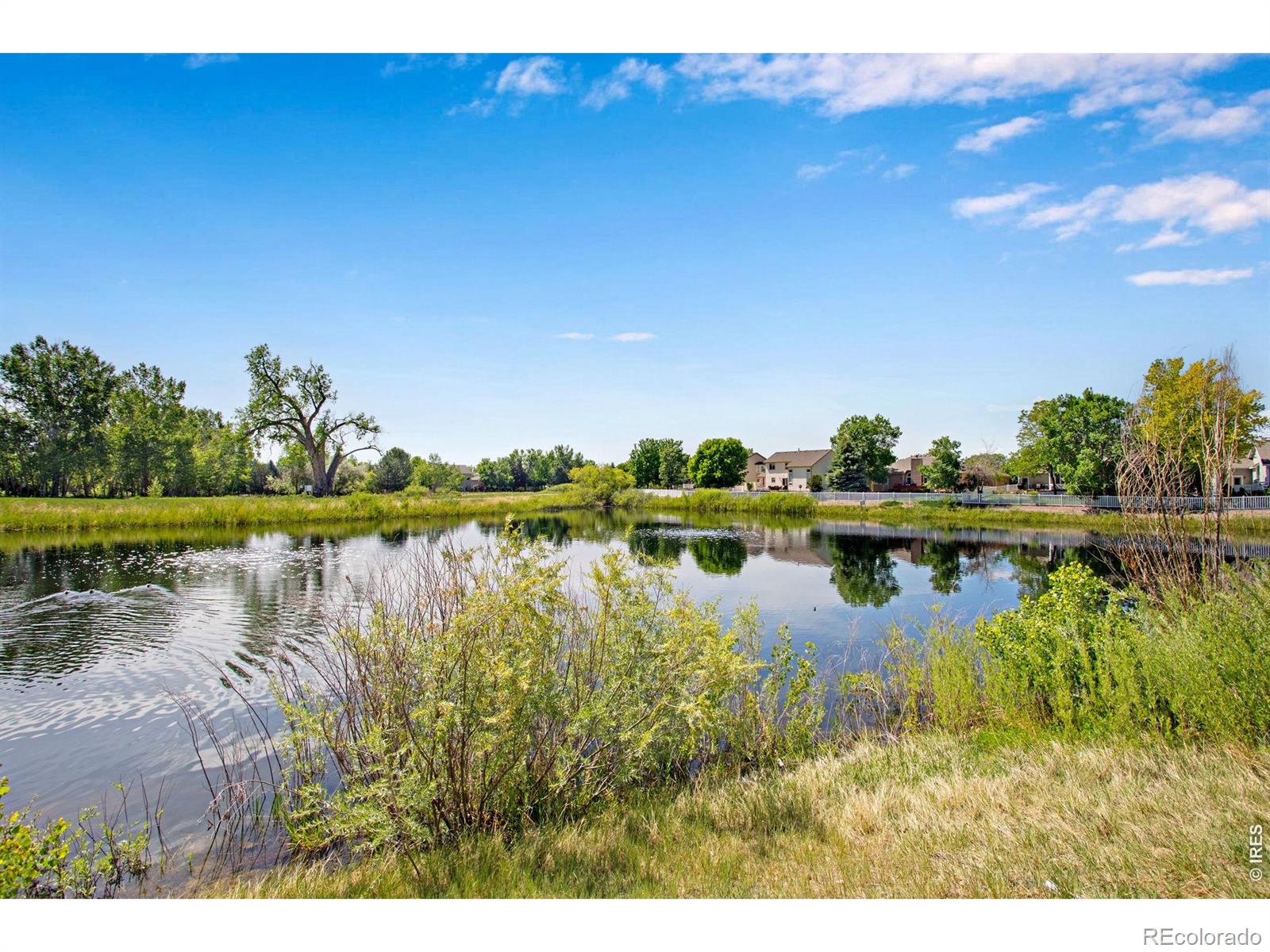 MLS Image #36 for 2070  manitou court,loveland, Colorado