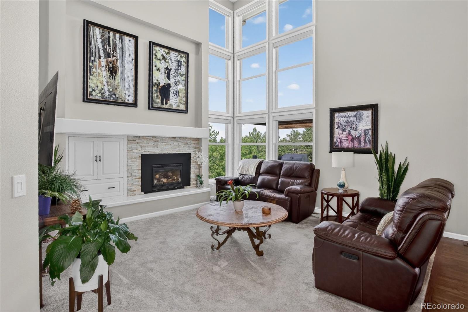 MLS Image #17 for 4  red tail drive,highlands ranch, Colorado