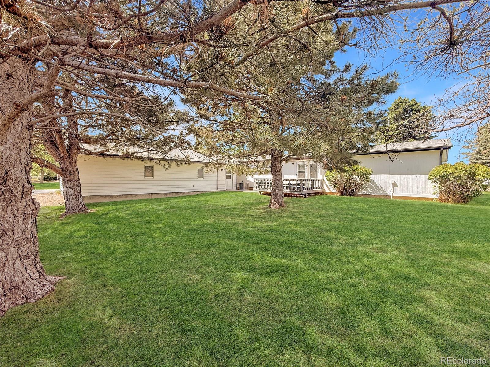 MLS Image #4 for 205 e 8th street,flagler, Colorado