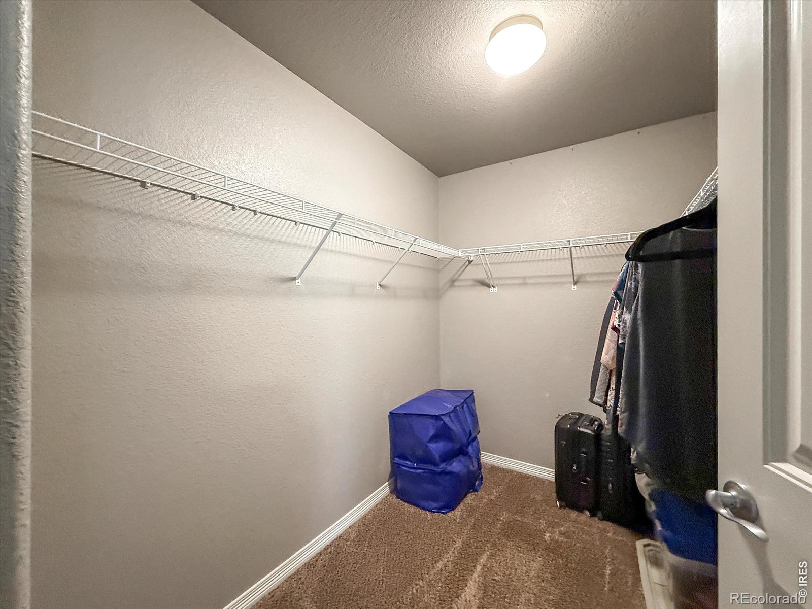 MLS Image #13 for 902  canyonlands street,berthoud, Colorado