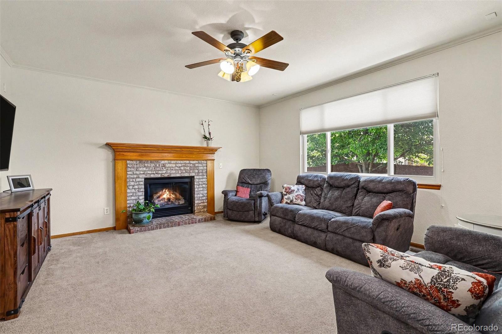 MLS Image #8 for 13785  cook street,thornton, Colorado