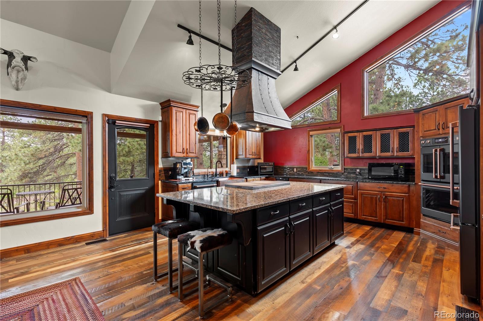MLS Image #3 for 10247  pine valley drive,franktown, Colorado