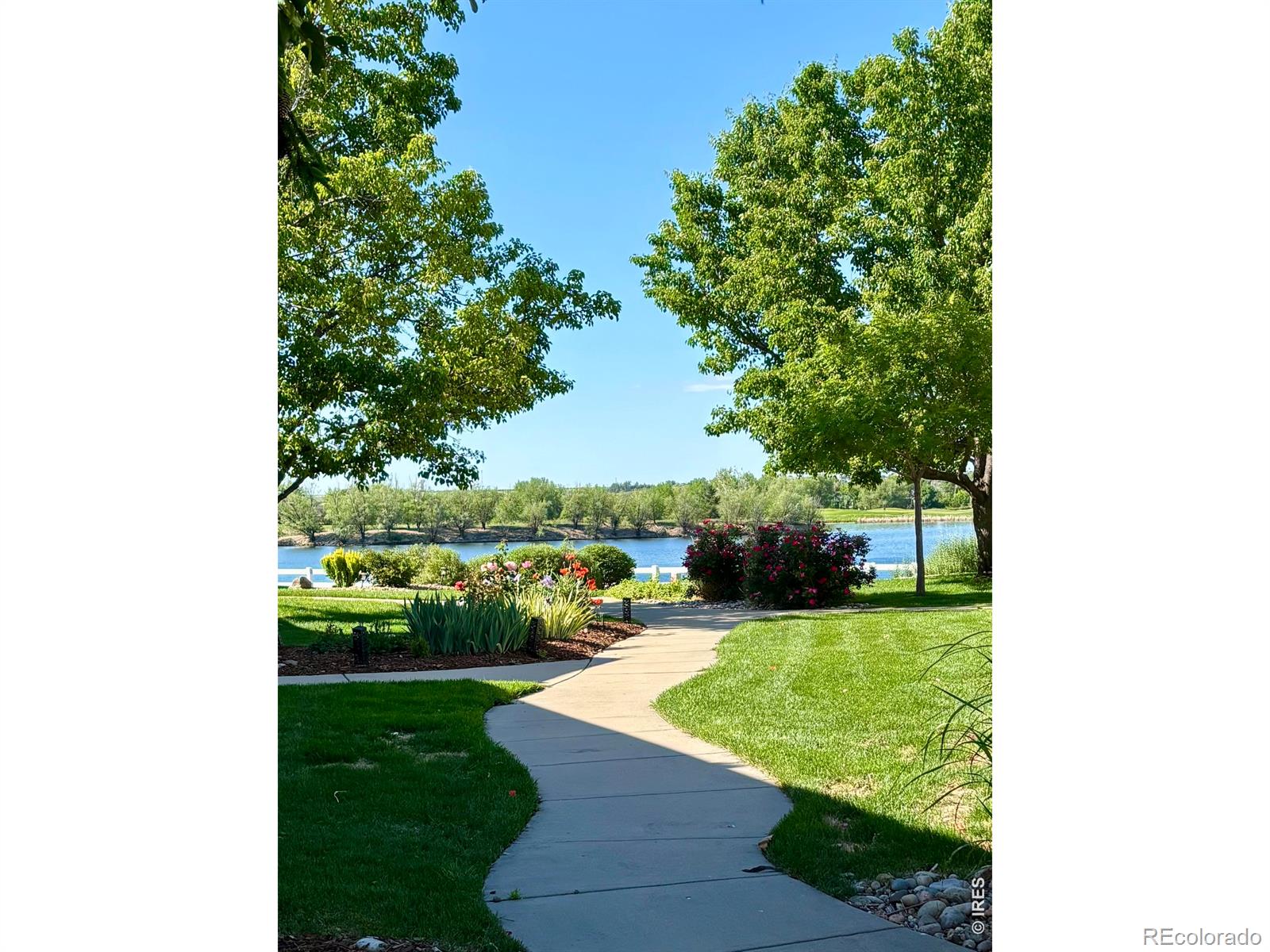 MLS Image #33 for 1503  waterfront drive,windsor, Colorado