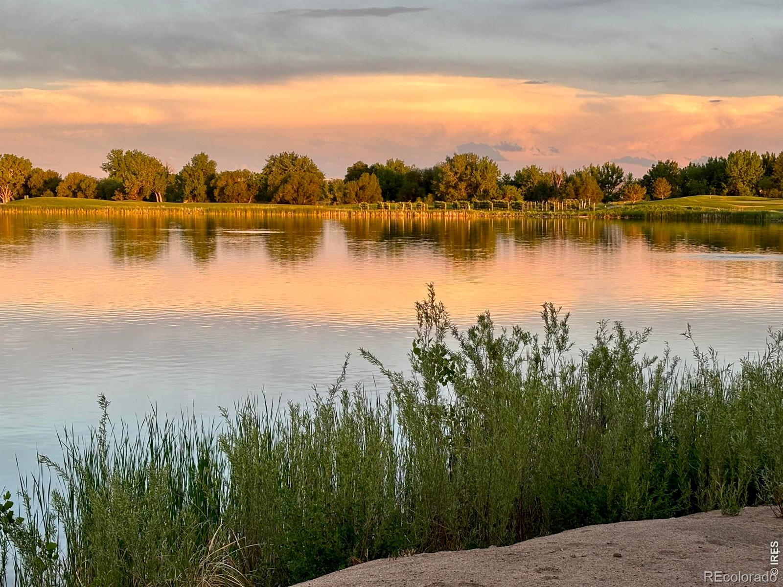 MLS Image #43 for 1503  waterfront drive,windsor, Colorado