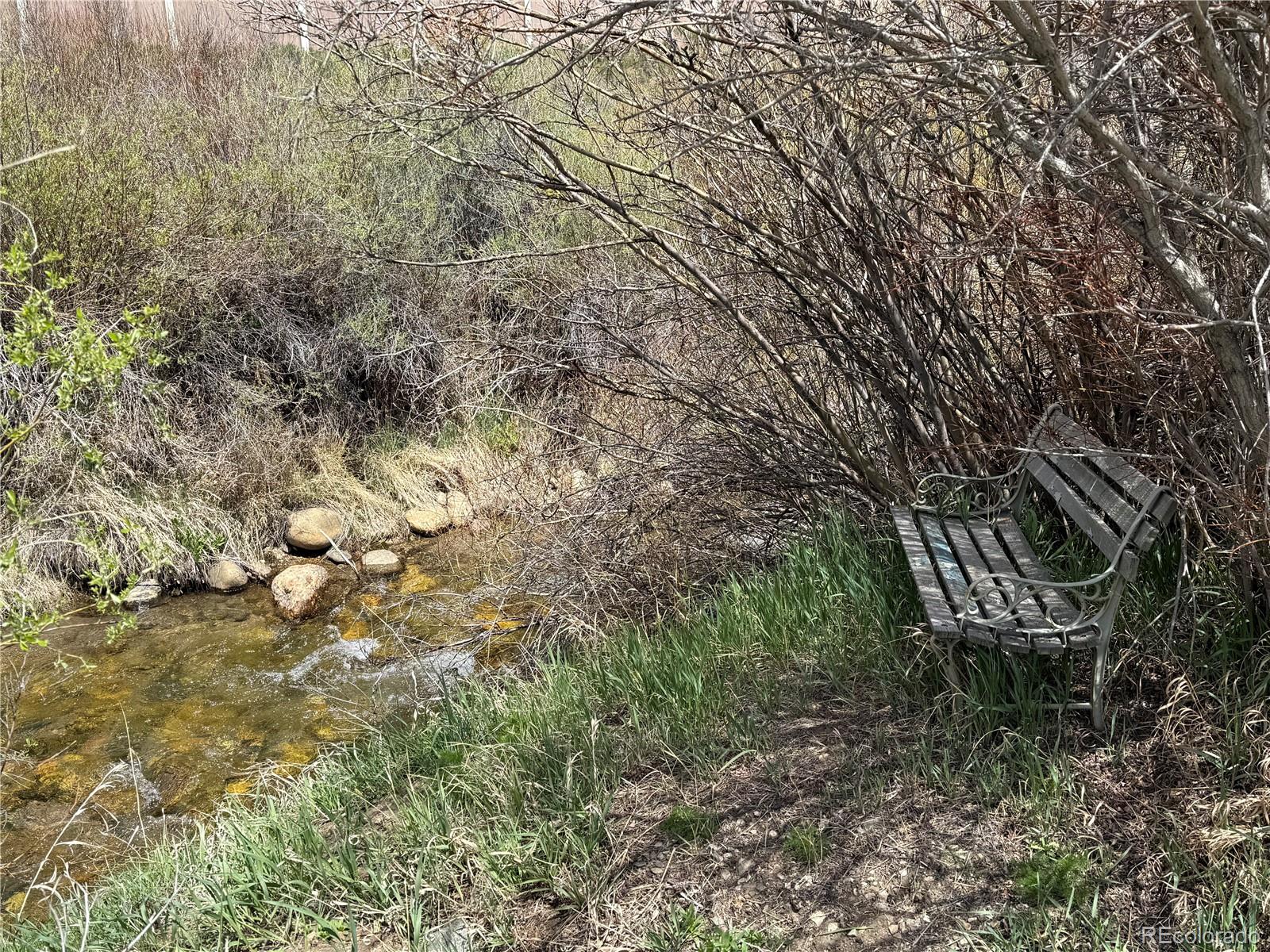 MLS Image #4 for 115  straight creek drive,dillon, Colorado