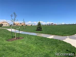 MLS Image #47 for 17928  galapagos street,broomfield, Colorado