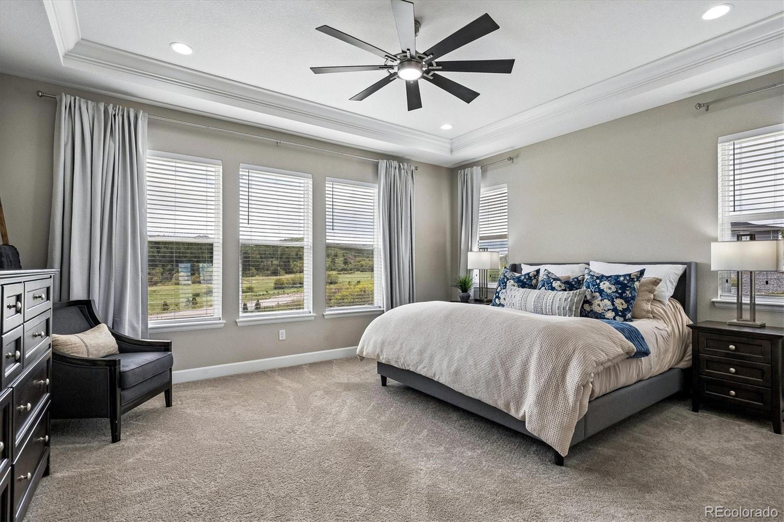 MLS Image #16 for 6014  missoula trail,castle rock, Colorado