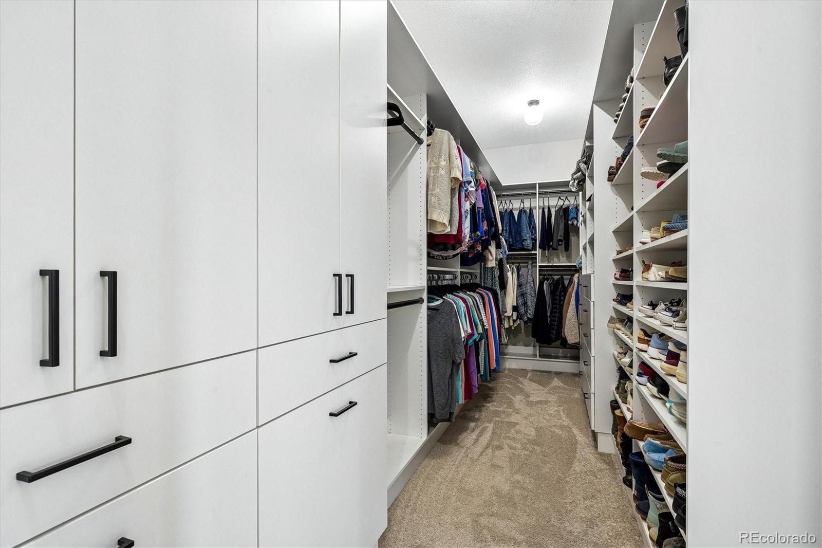MLS Image #19 for 6014  missoula trail,castle rock, Colorado