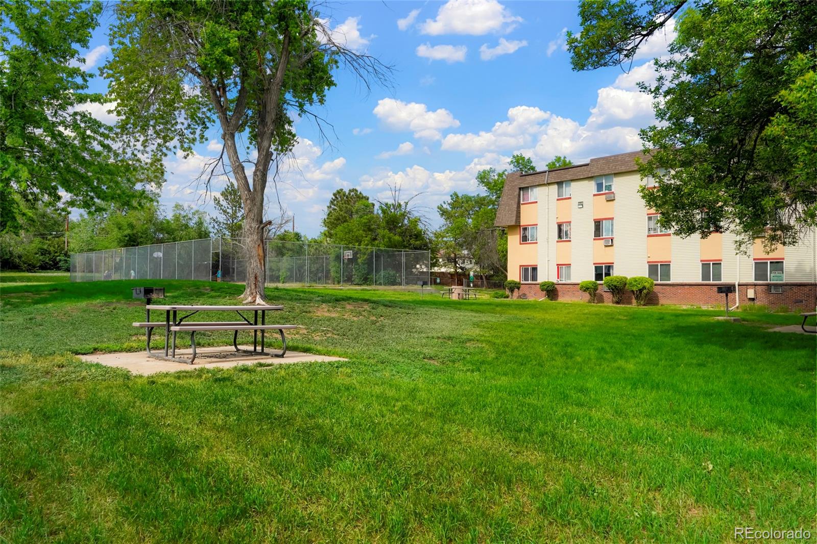 MLS Image #6 for 747 w 96th avenue,thornton, Colorado
