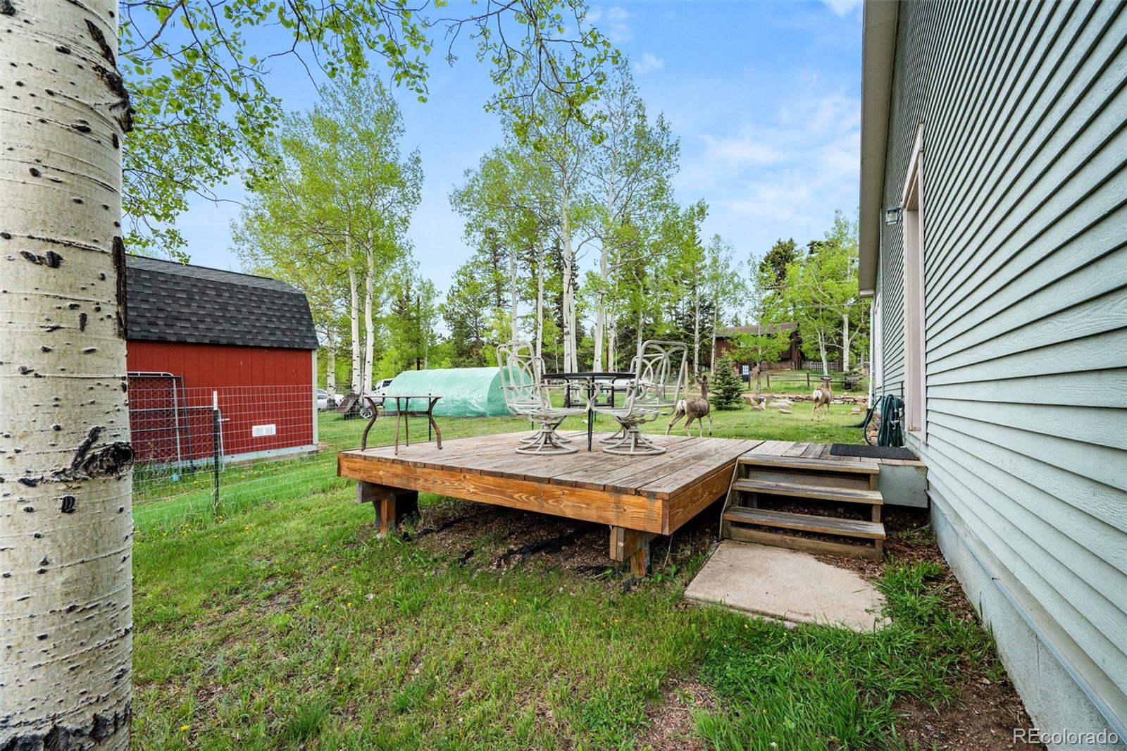 MLS Image #12 for 33  maid marian drive,divide, Colorado