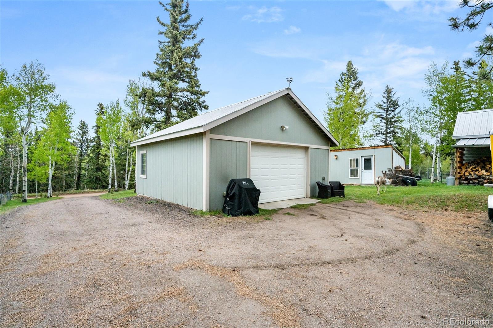 MLS Image #16 for 33  maid marian drive,divide, Colorado