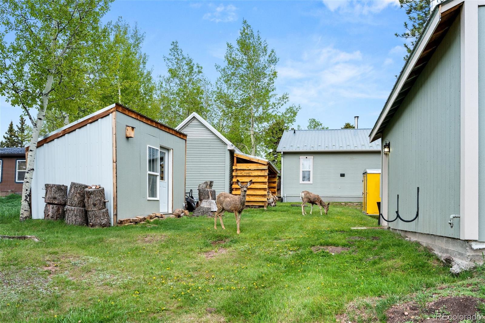 MLS Image #18 for 33  maid marian drive,divide, Colorado