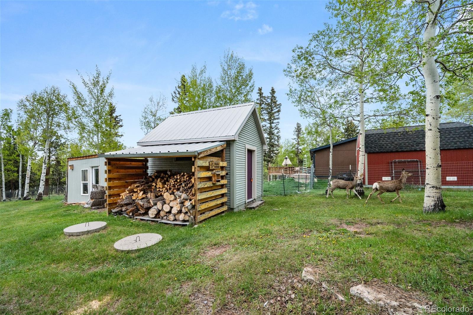 MLS Image #19 for 33  maid marian drive,divide, Colorado