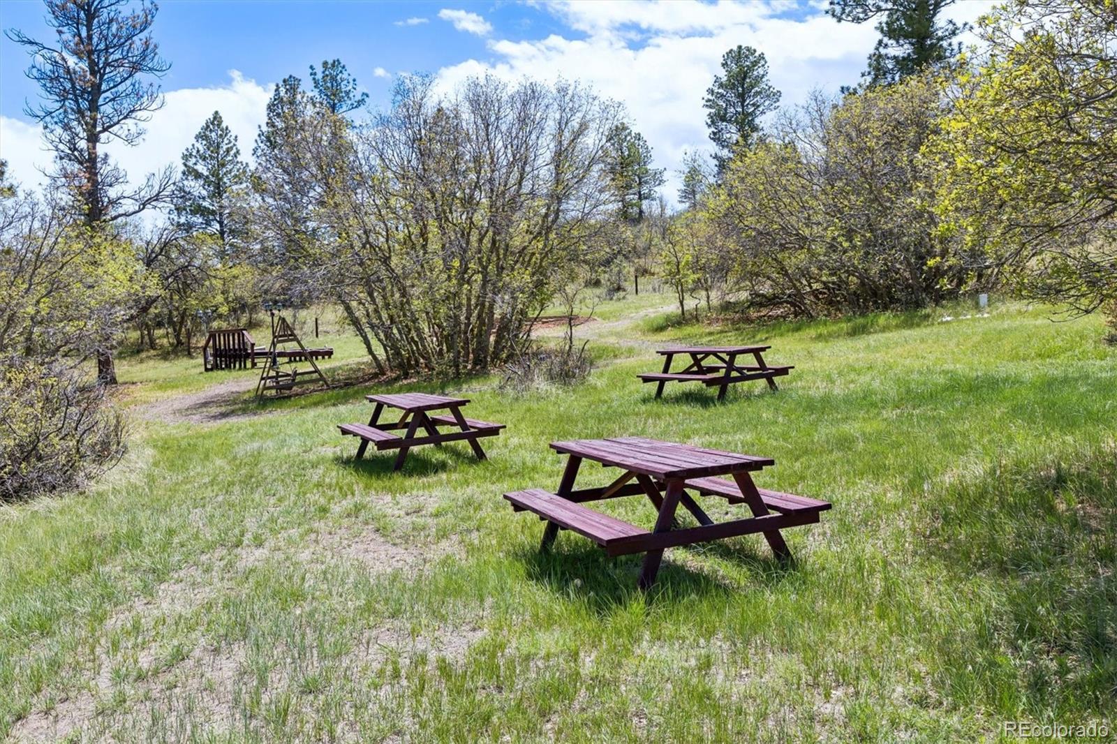 MLS Image #27 for 6886  village road,parker, Colorado