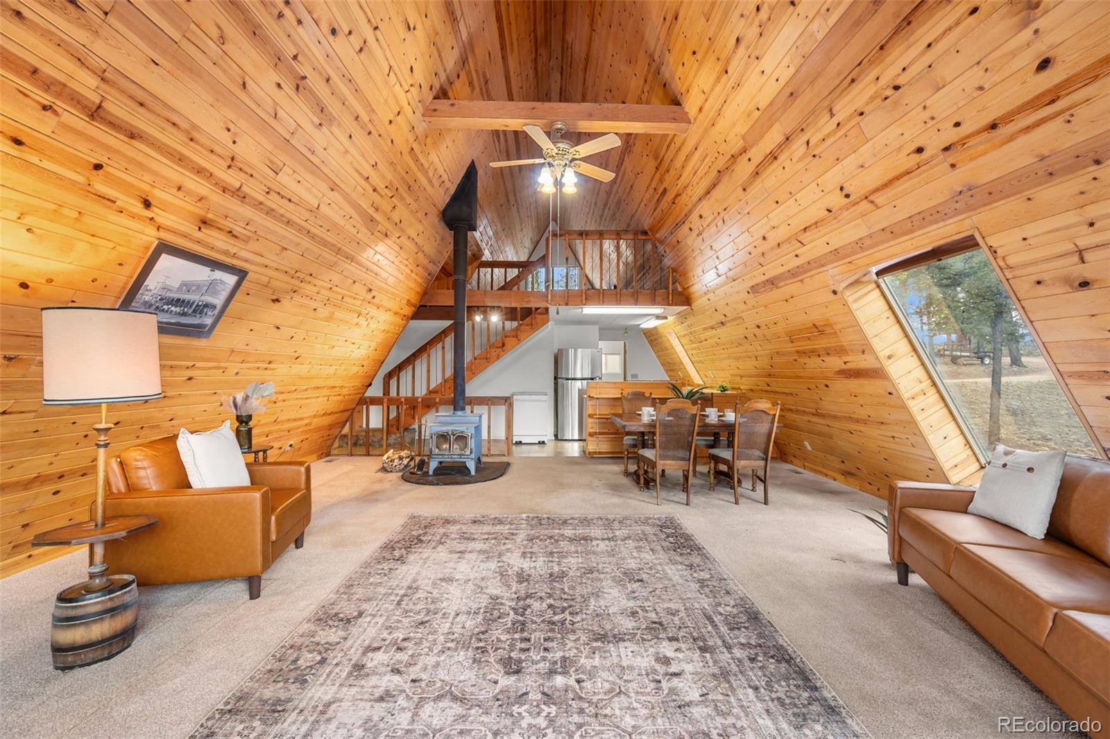 MLS Image #10 for 873  trail creek road,lake george, Colorado