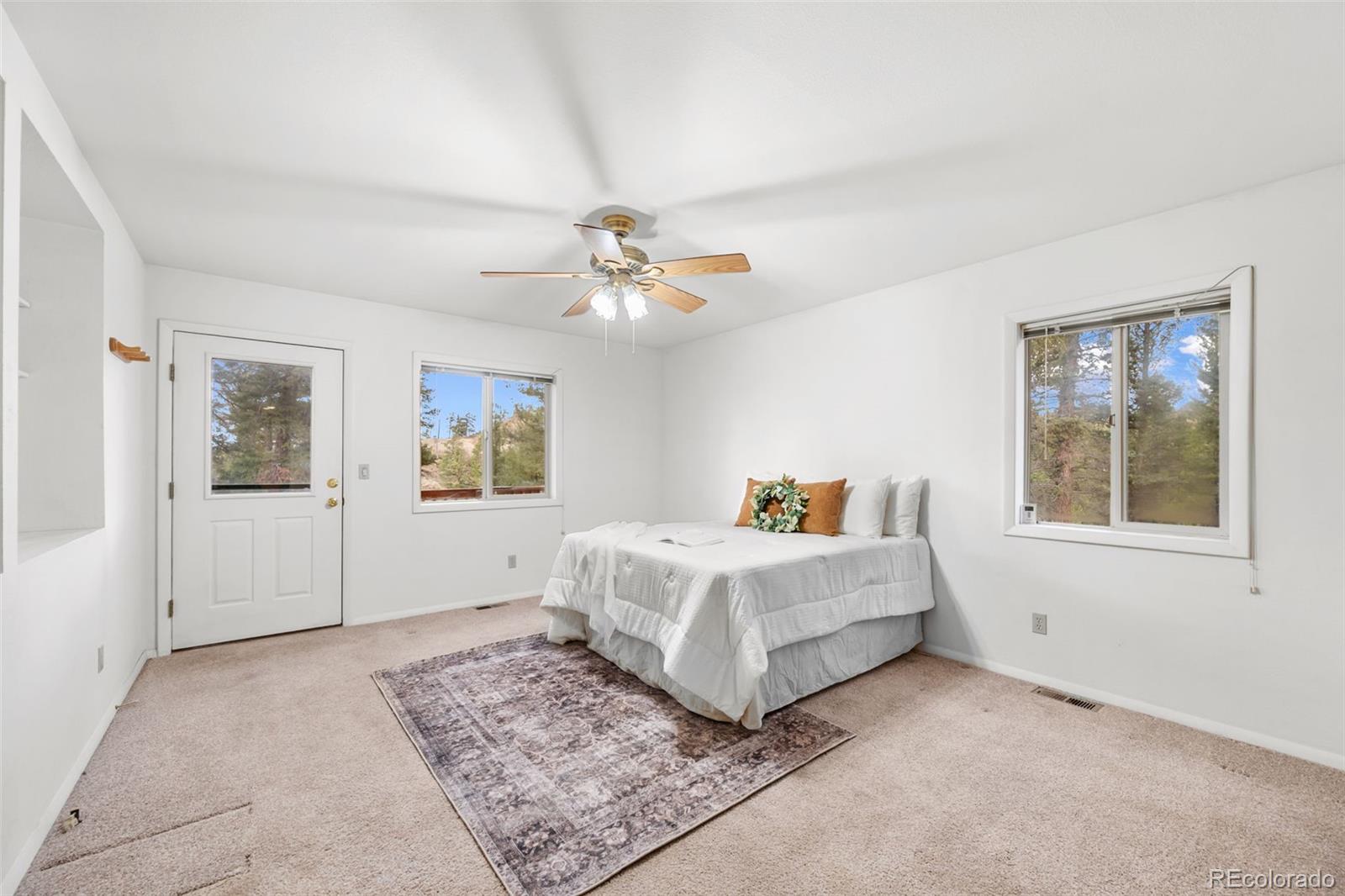 MLS Image #11 for 873  trail creek road,lake george, Colorado