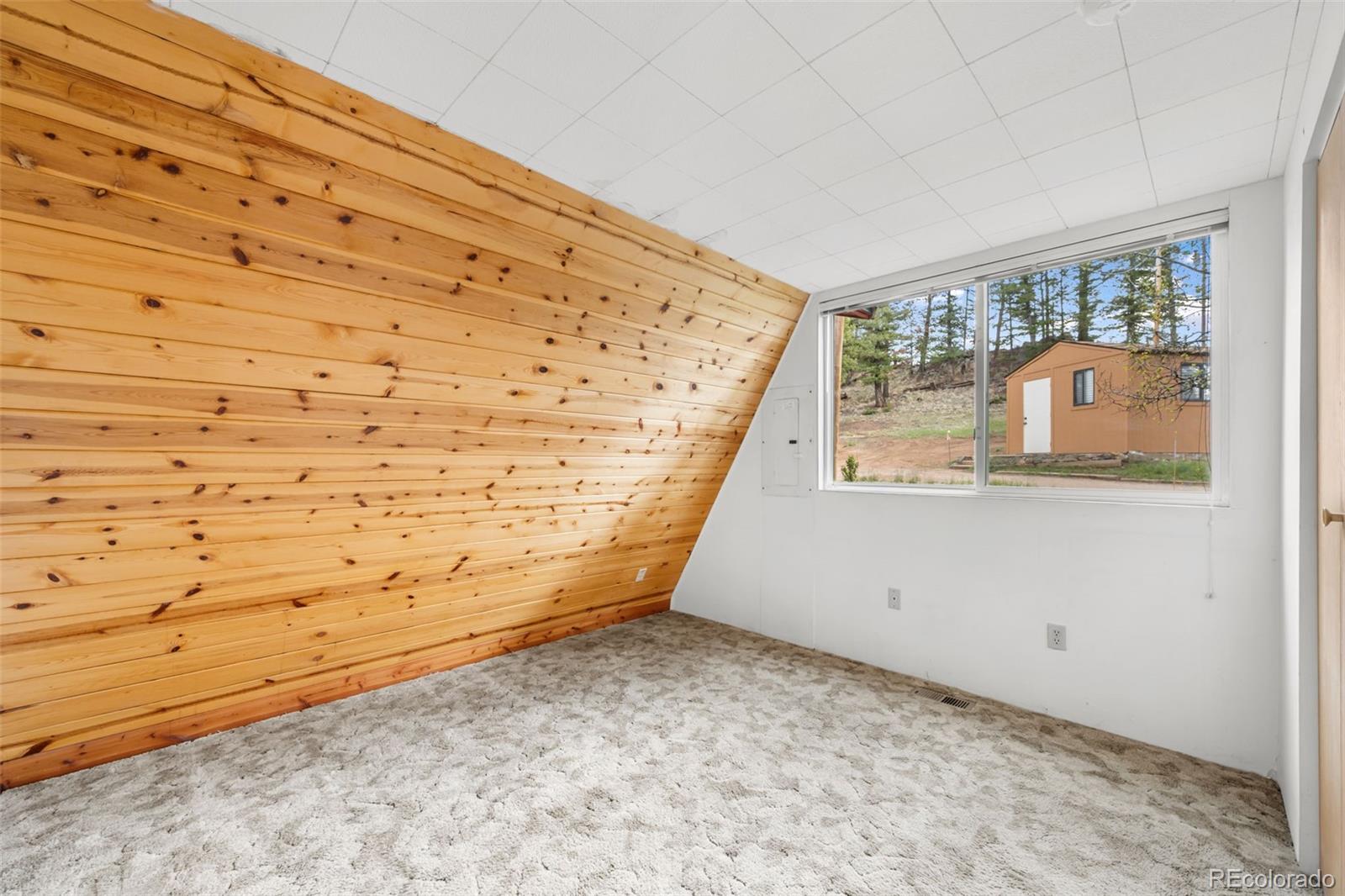 MLS Image #14 for 873  trail creek road,lake george, Colorado