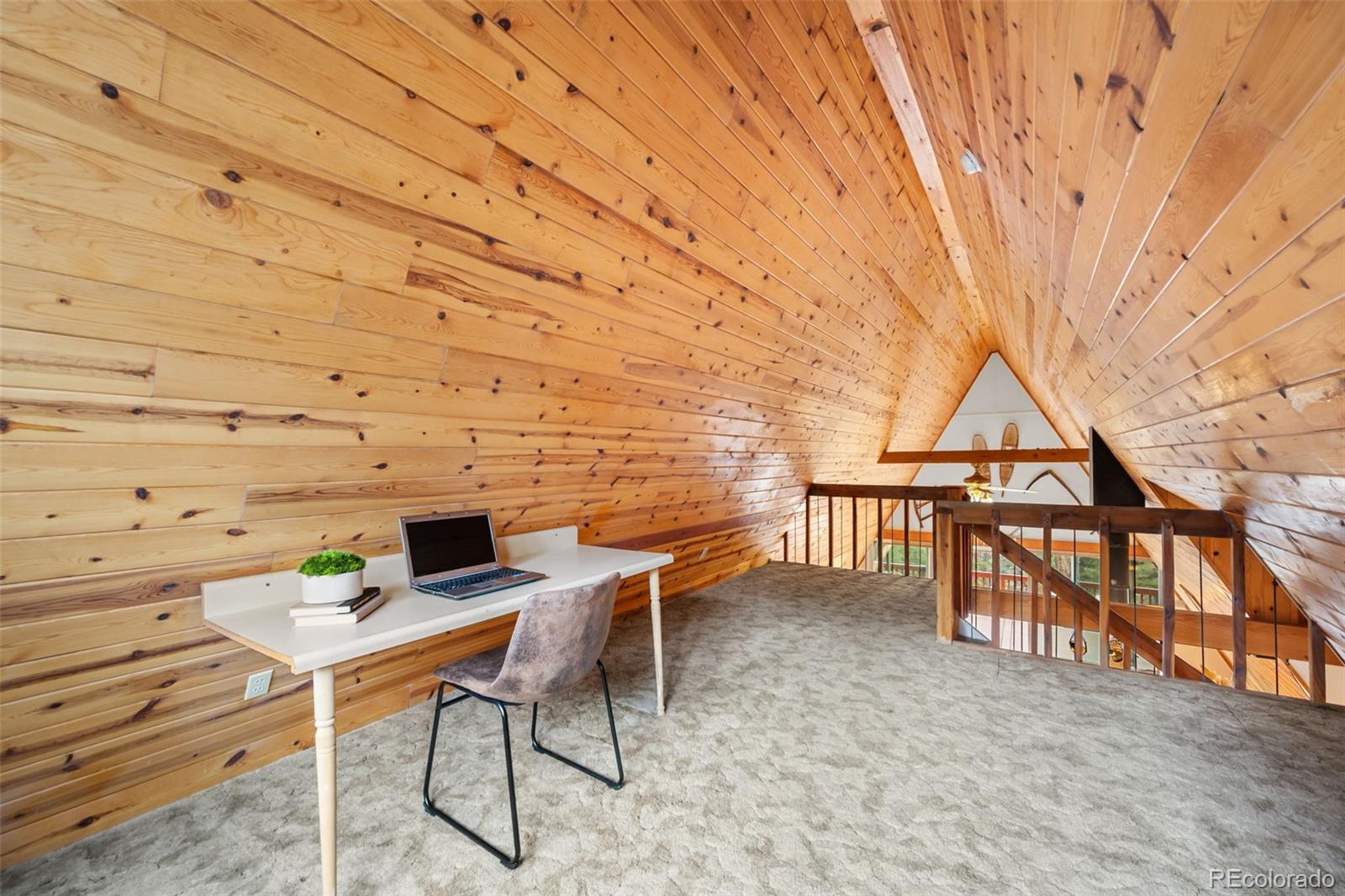 MLS Image #17 for 873  trail creek road,lake george, Colorado