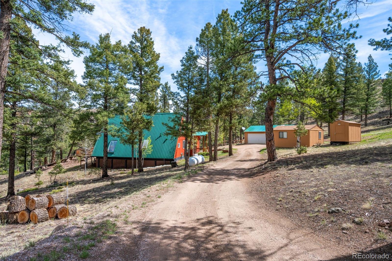 MLS Image #2 for 873  trail creek road,lake george, Colorado