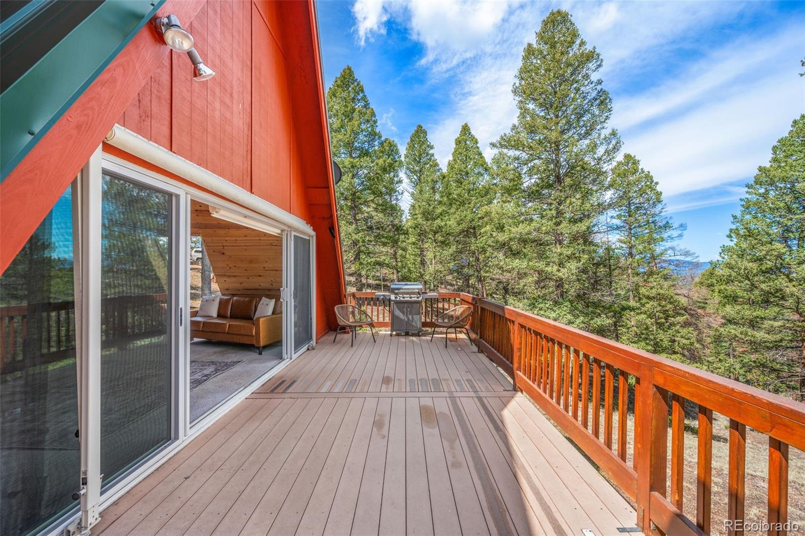 MLS Image #21 for 873  trail creek road,lake george, Colorado
