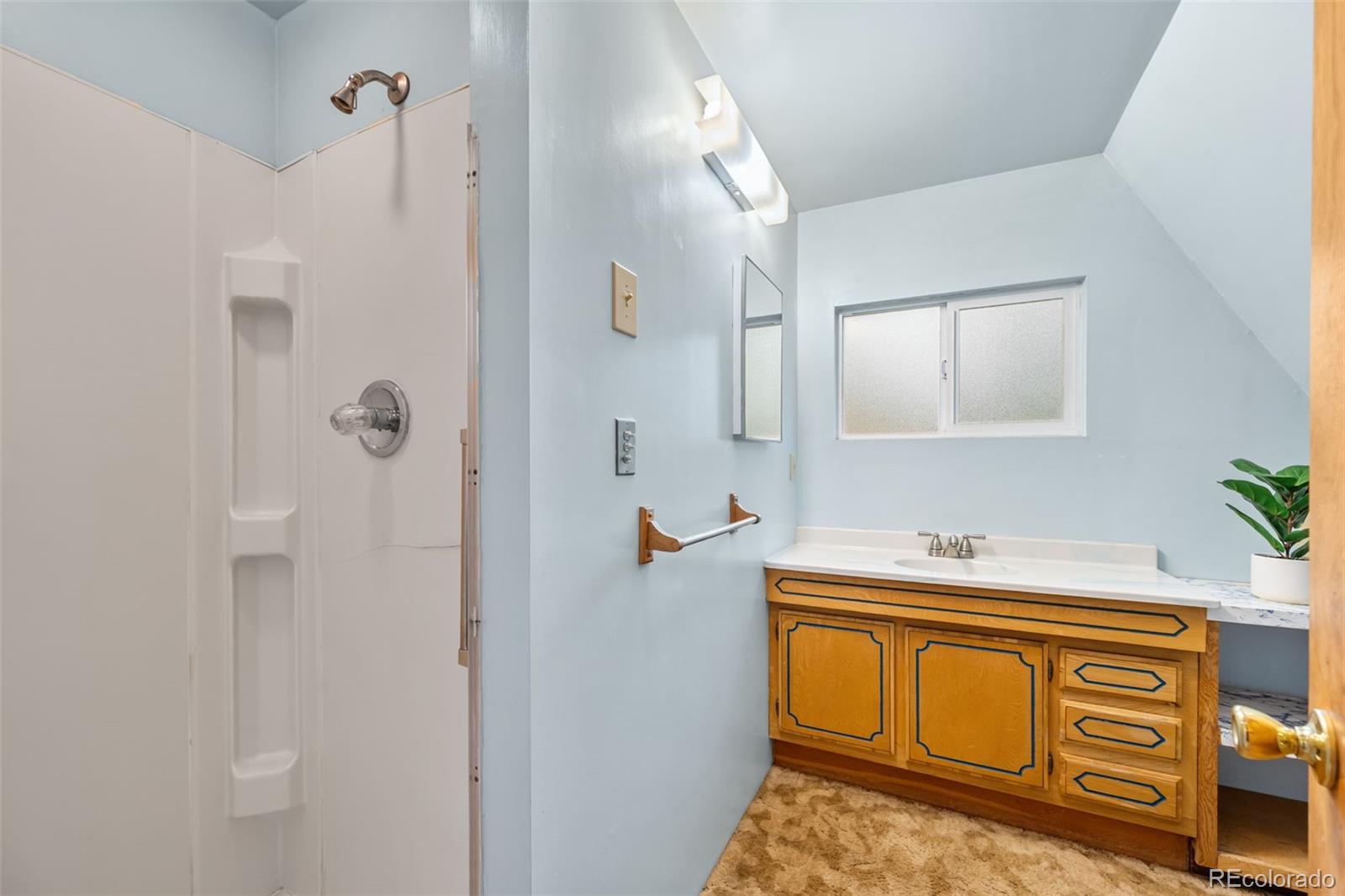 MLS Image #23 for 873  trail creek road,lake george, Colorado