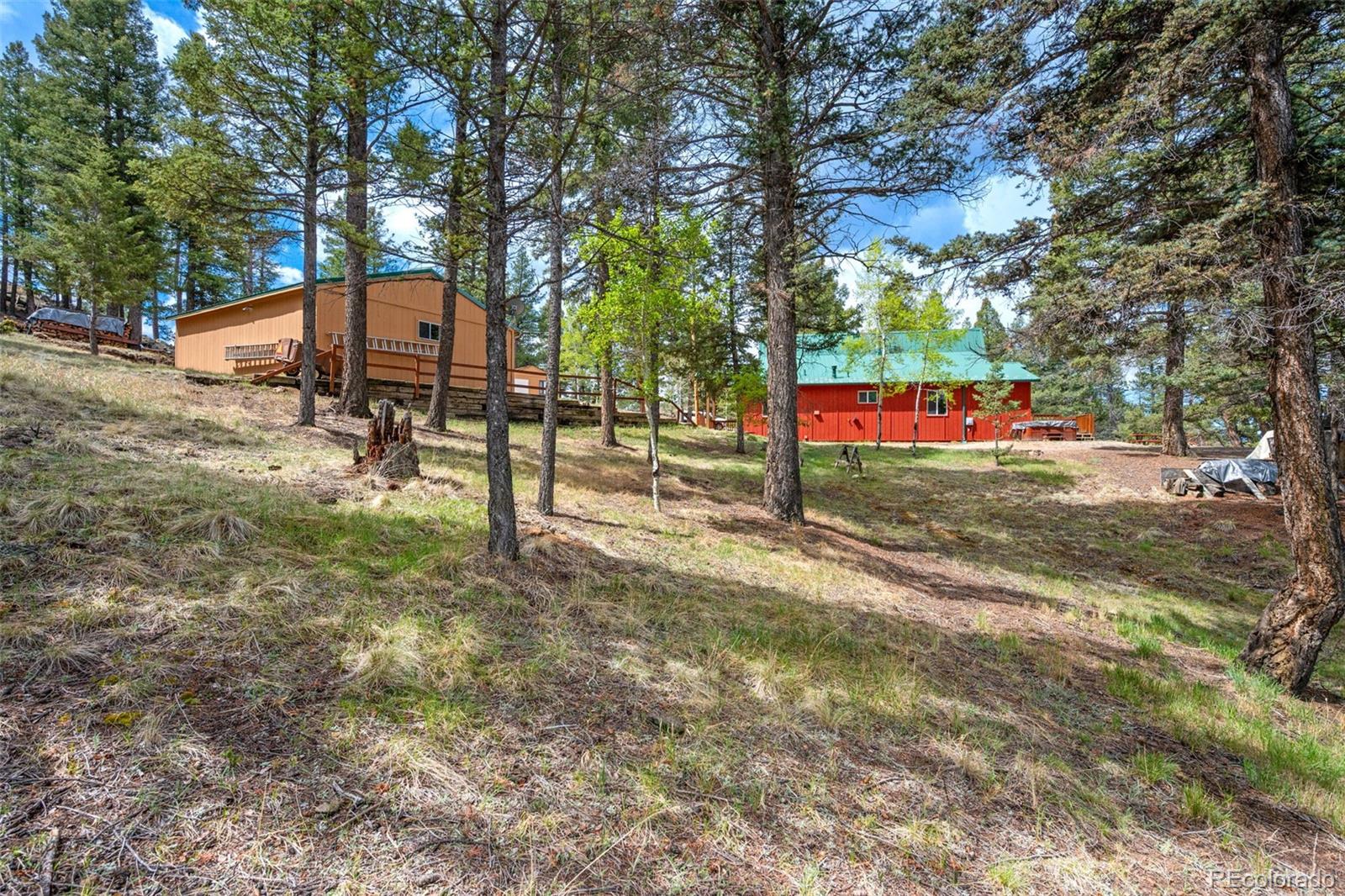 MLS Image #24 for 873  trail creek road,lake george, Colorado