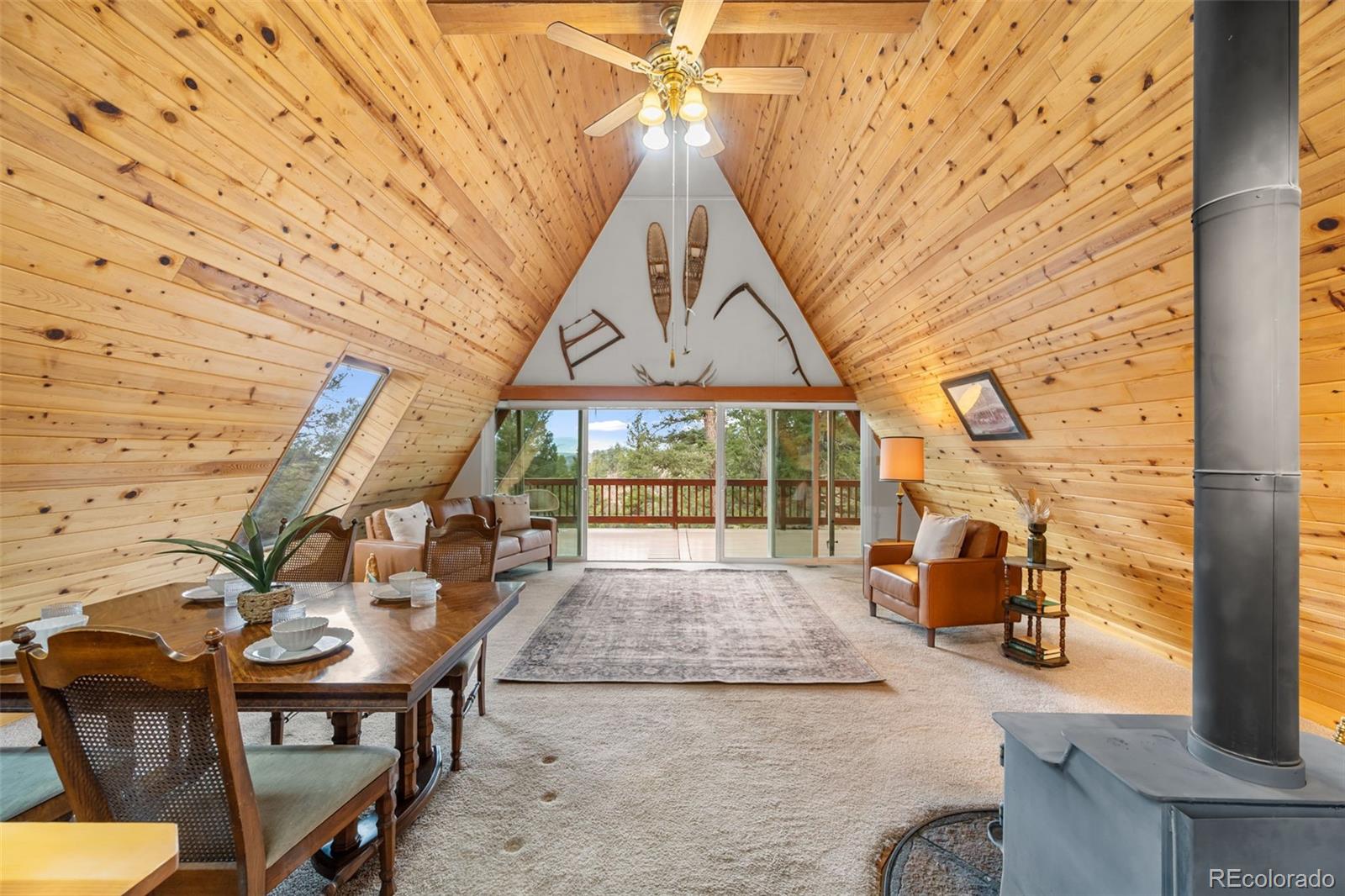 MLS Image #5 for 873  trail creek road,lake george, Colorado