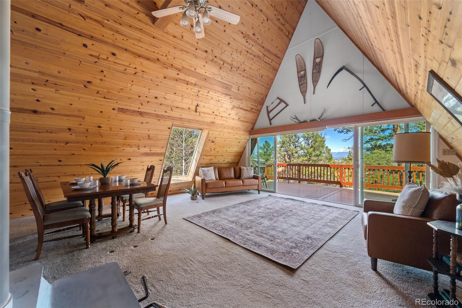 MLS Image #6 for 873  trail creek road,lake george, Colorado