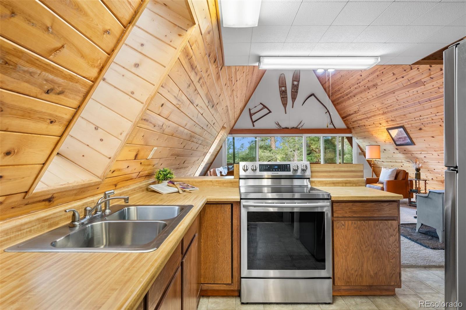 MLS Image #8 for 873  trail creek road,lake george, Colorado