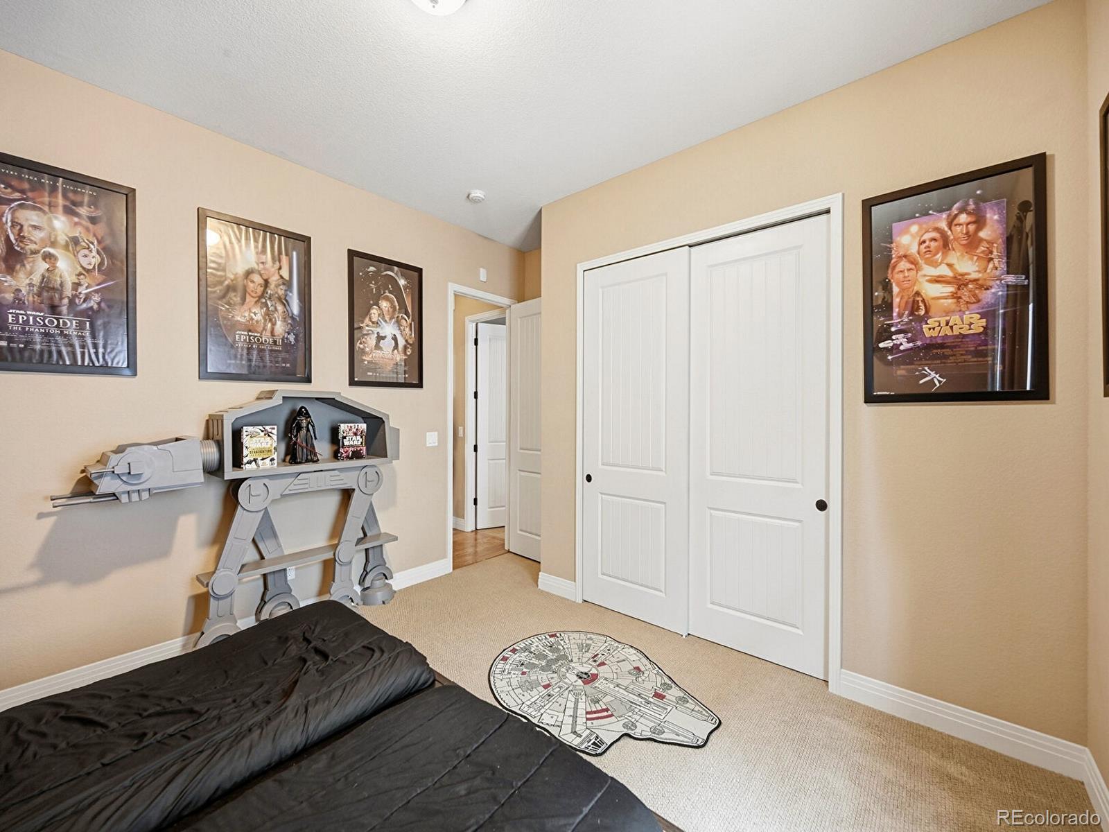 MLS Image #16 for 4439  fell mist way,castle rock, Colorado