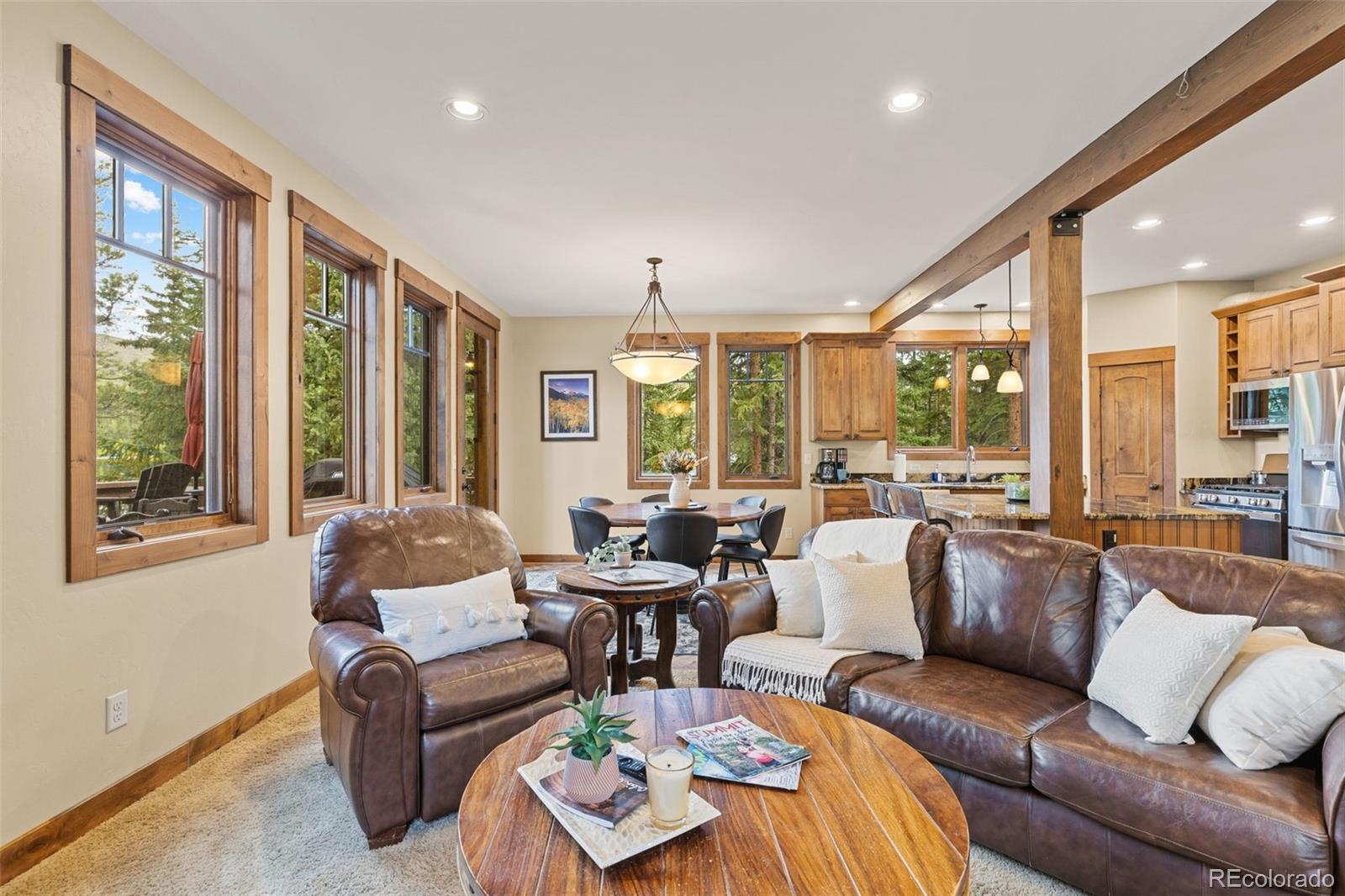MLS Image #12 for 861  high point drive,breckenridge, Colorado