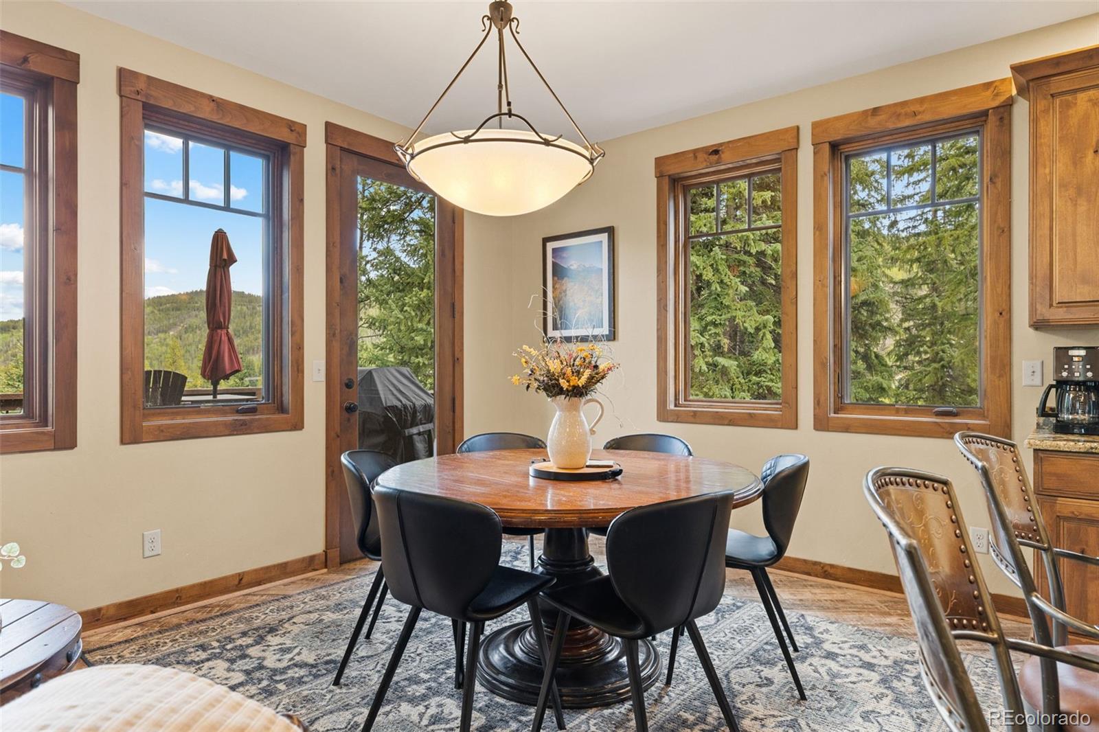 MLS Image #13 for 861  high point drive,breckenridge, Colorado