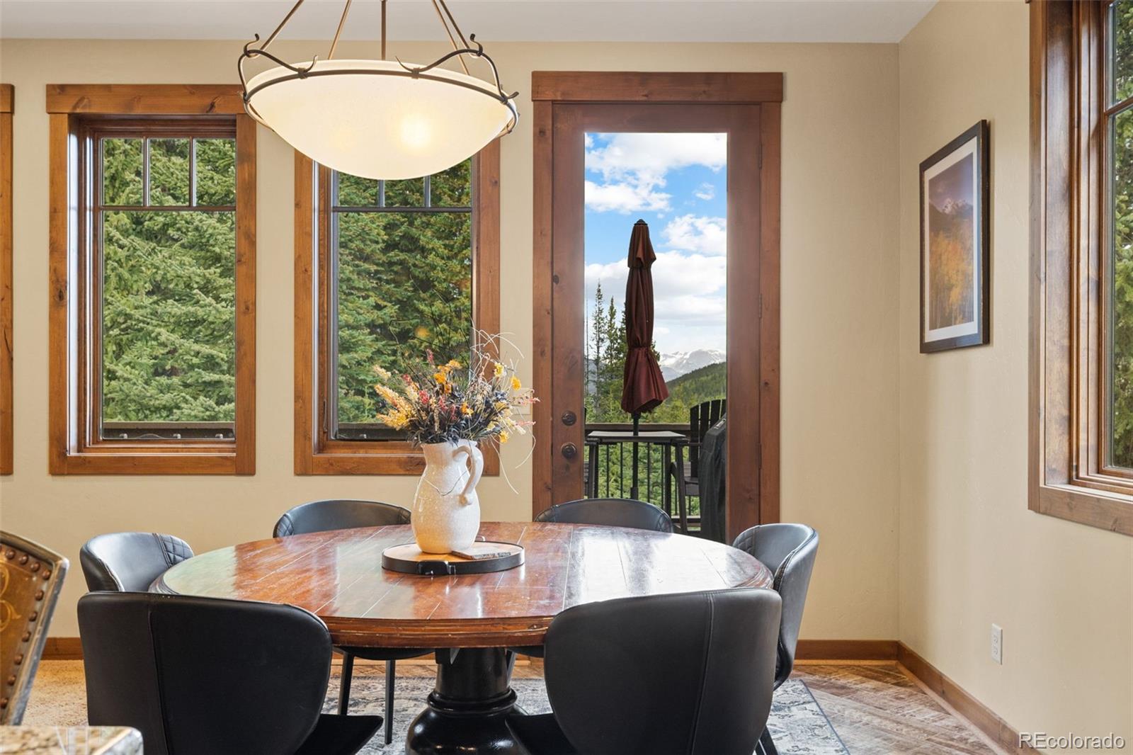 MLS Image #14 for 861  high point drive,breckenridge, Colorado