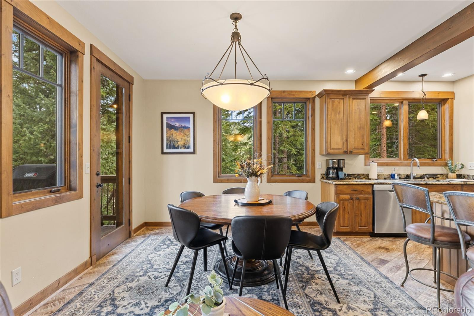 MLS Image #16 for 861  high point drive,breckenridge, Colorado